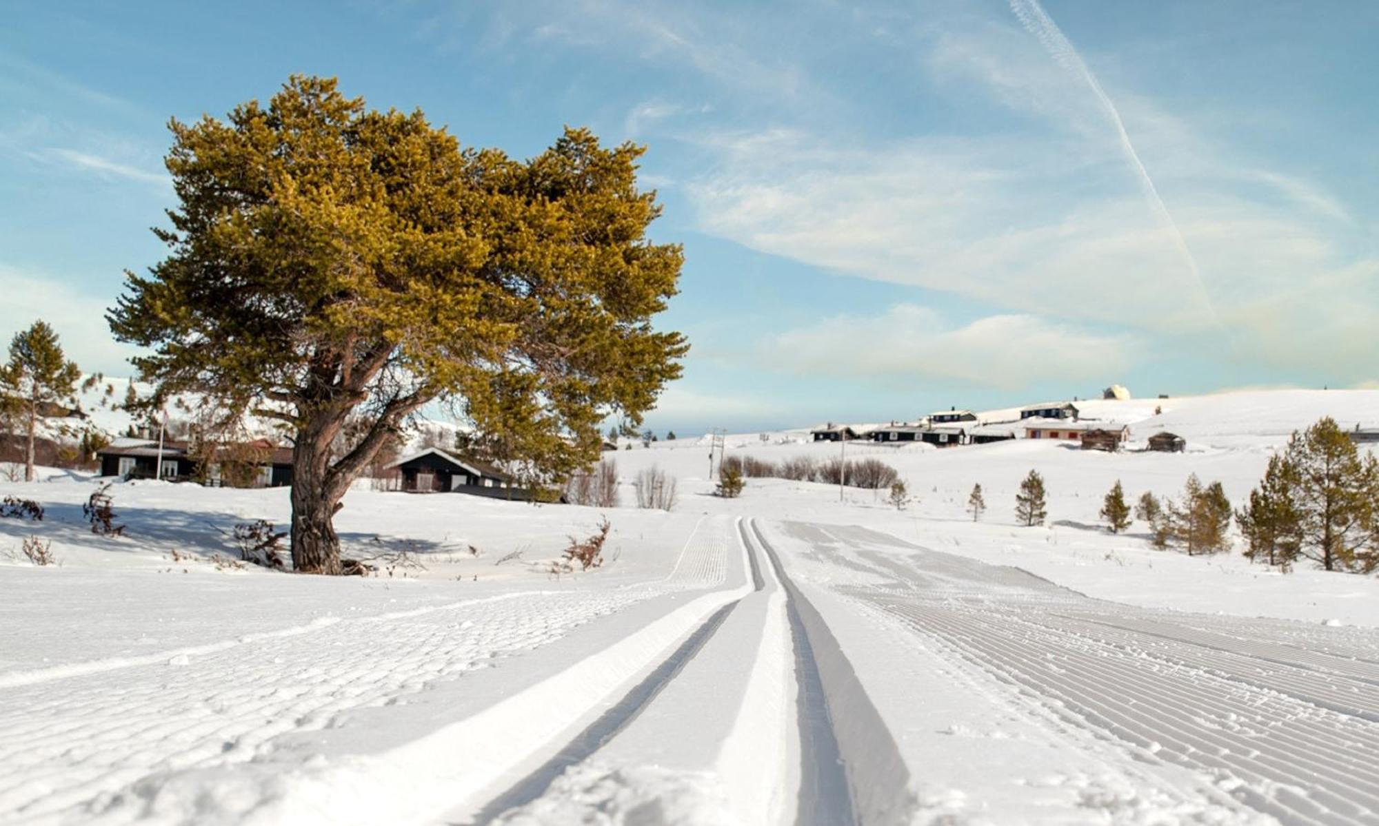 Rondane Haukliseter Fjellhotell Høvringen Zewnętrze zdjęcie